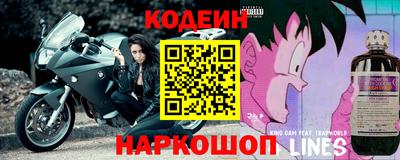 индика Комсомольск-на-Амуре