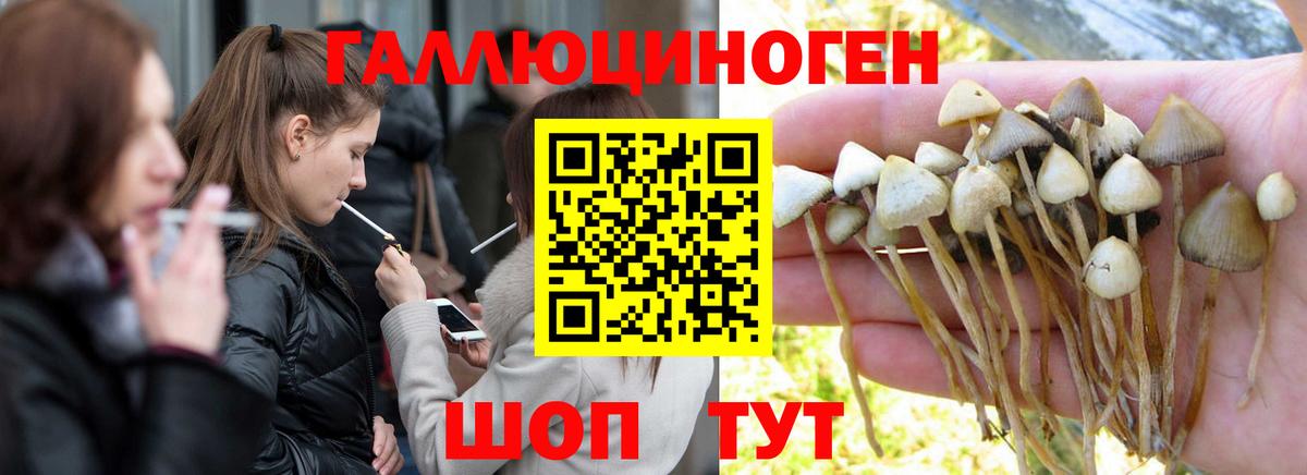 Псилоцибиновые грибы Psilocybine cubensis  Галлюциногенные грибы мицелий  Вход с VPN  Котлас 